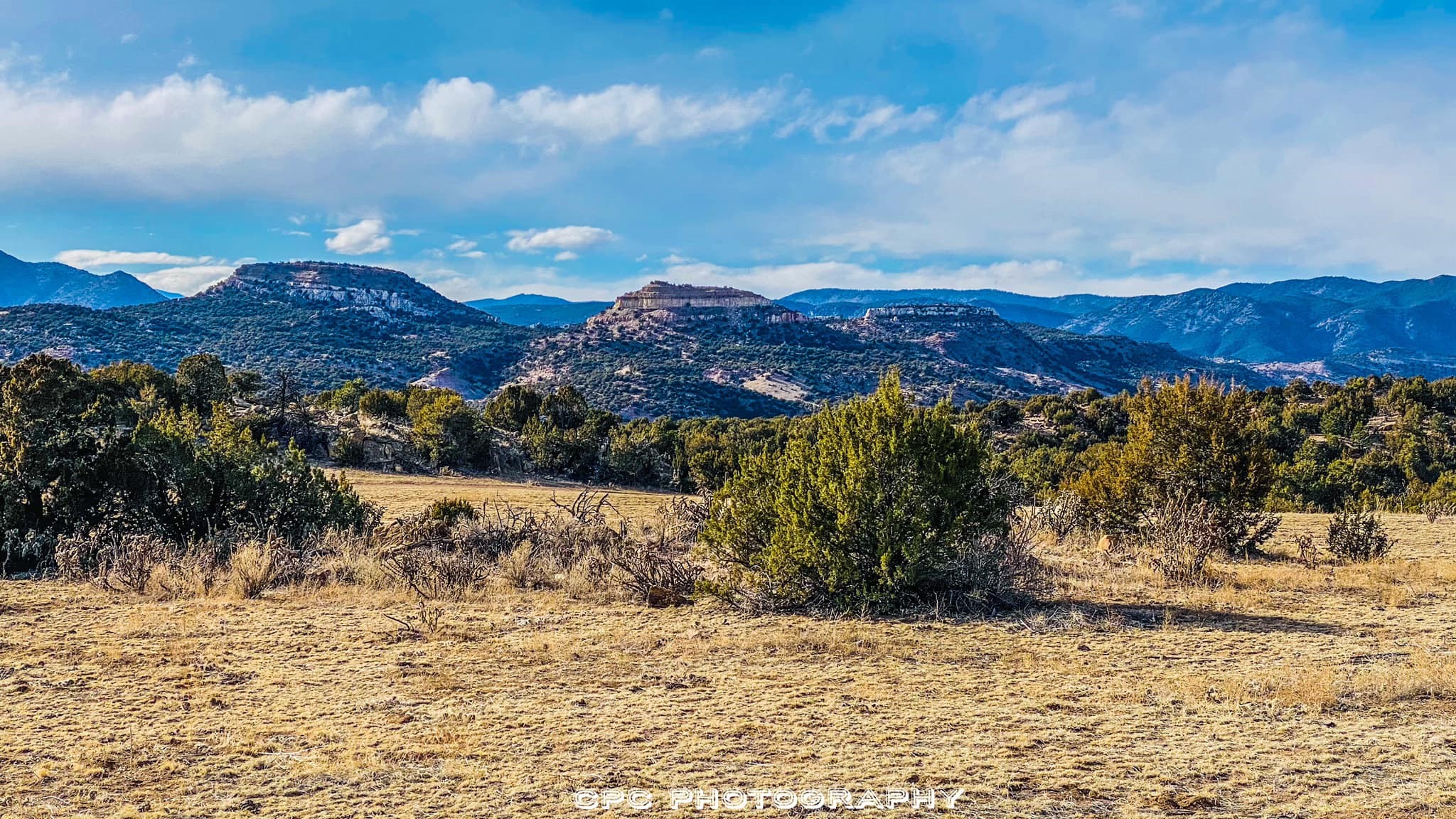 Carter Chavez Canon City