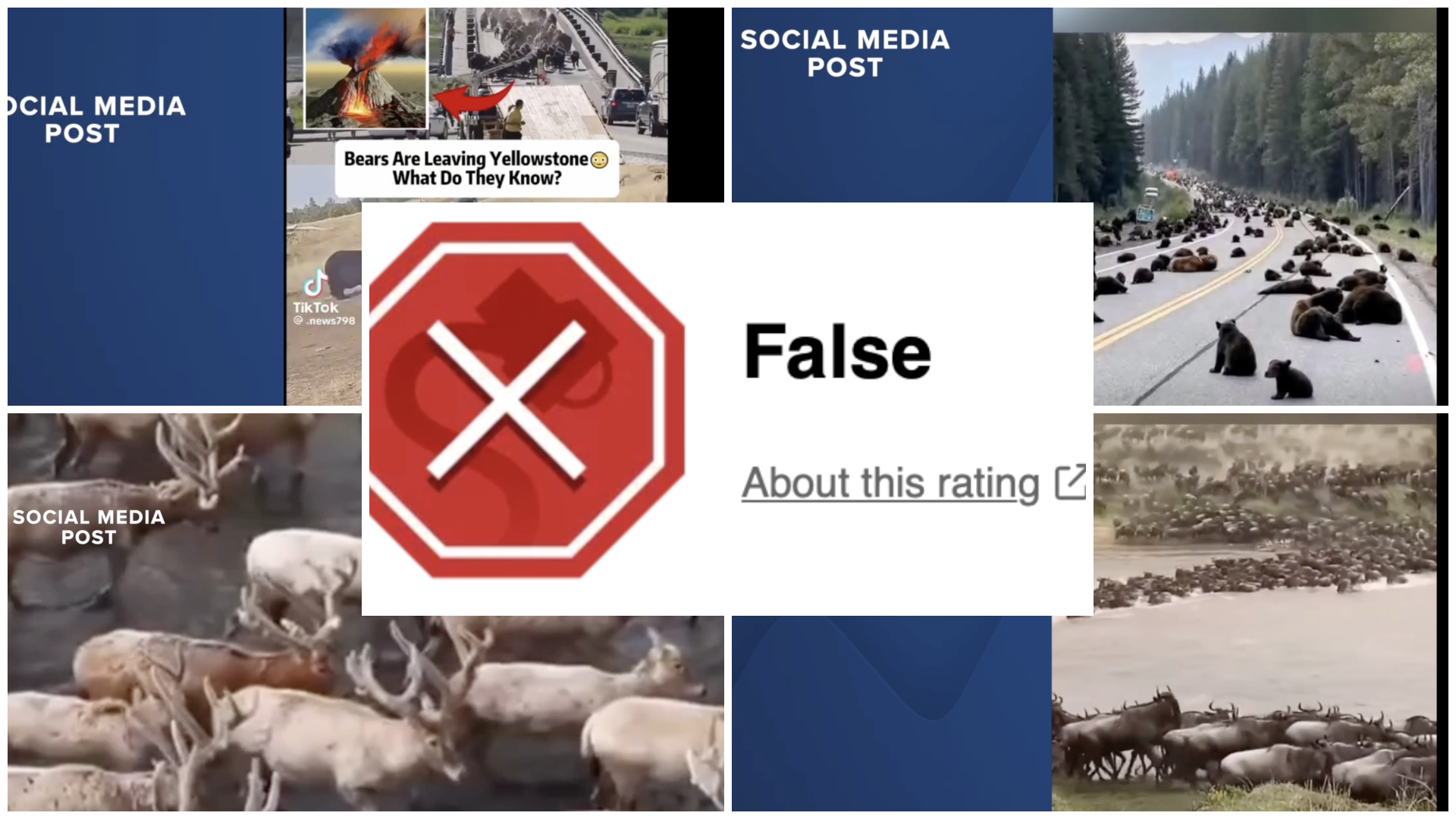 photo-collage.png (4).png