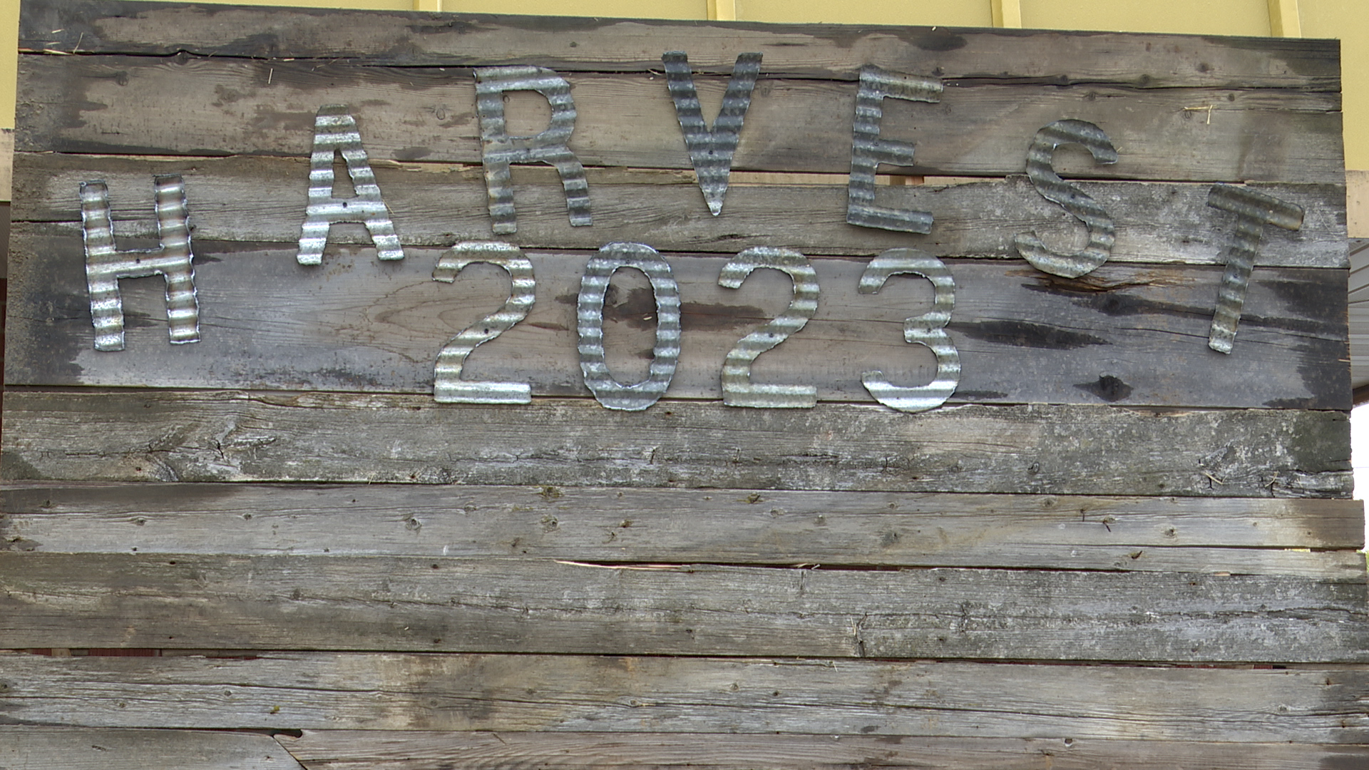 HiLine Harvest Festival