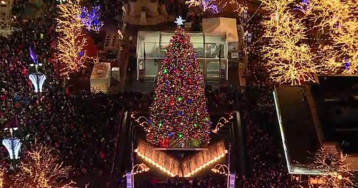 Tonight Watch Wxyz S Light Up The Season Tree Lighting Special