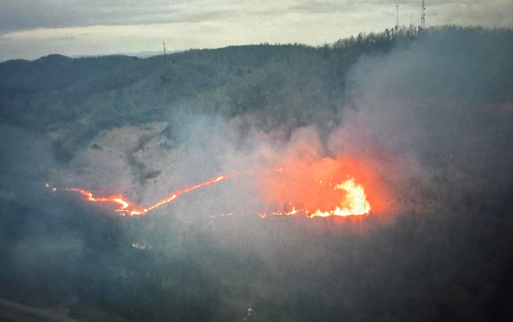 Knox County firefighters fight brush fire