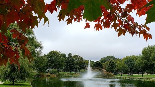 Colorado Springs fall