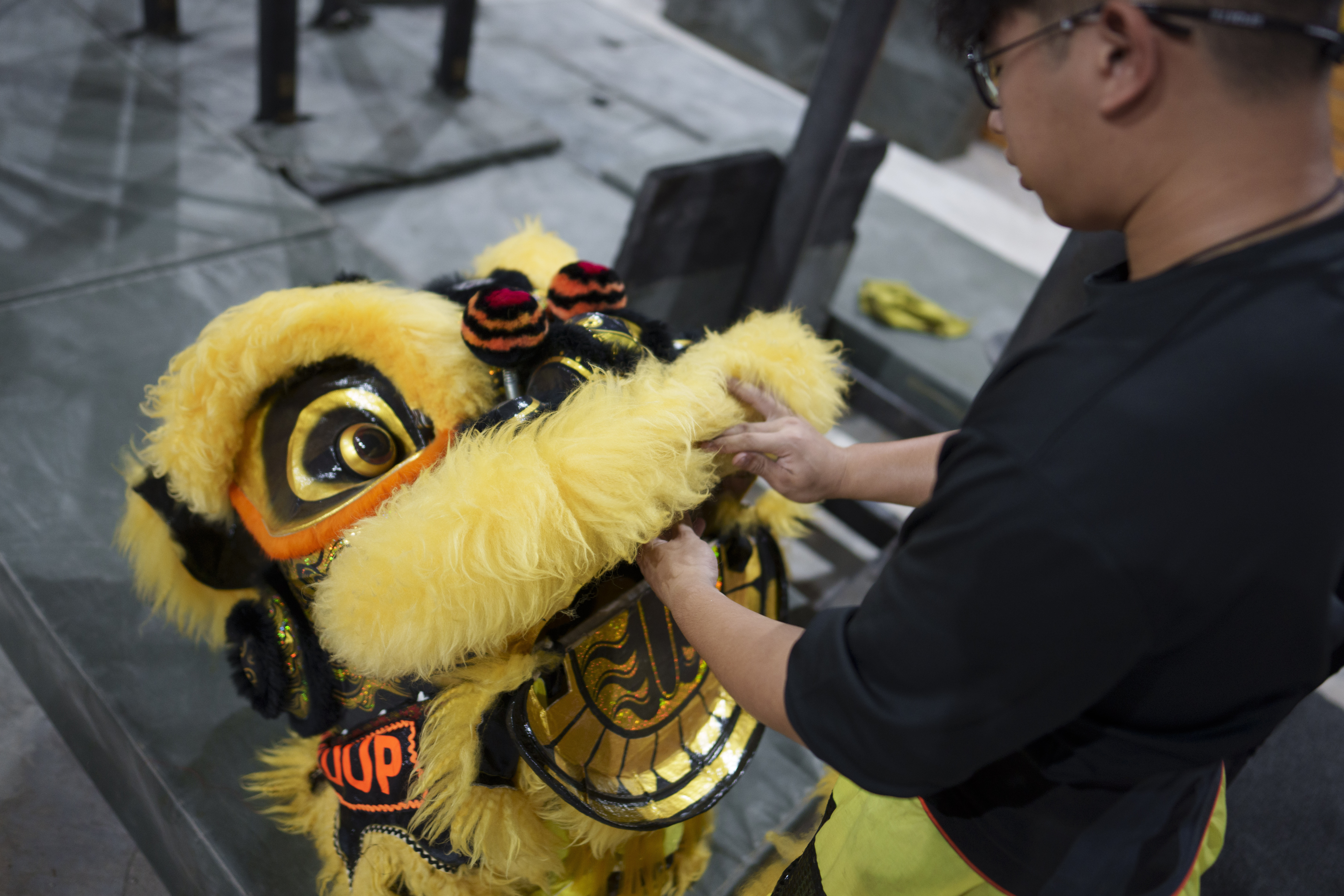 Malaysia Lunar New Year