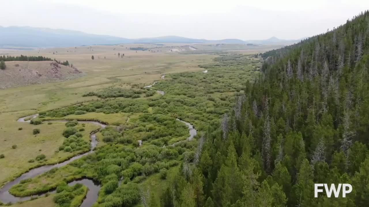 Poster image (5).jpg