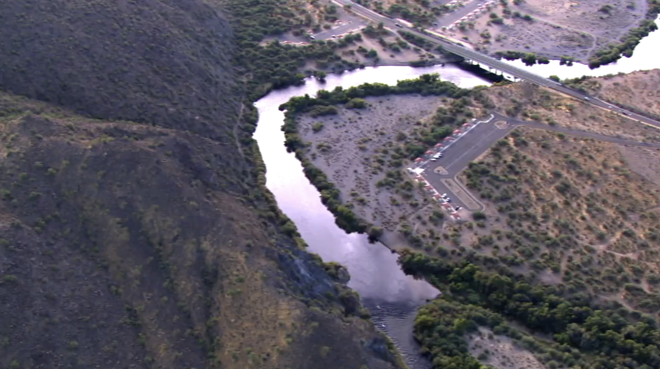 Sheep's crossing drowning