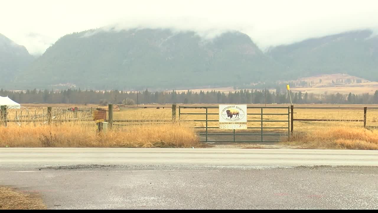 Bitterroot Bison Company Stevensville