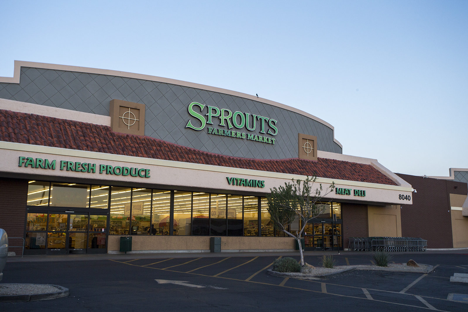Sprouts