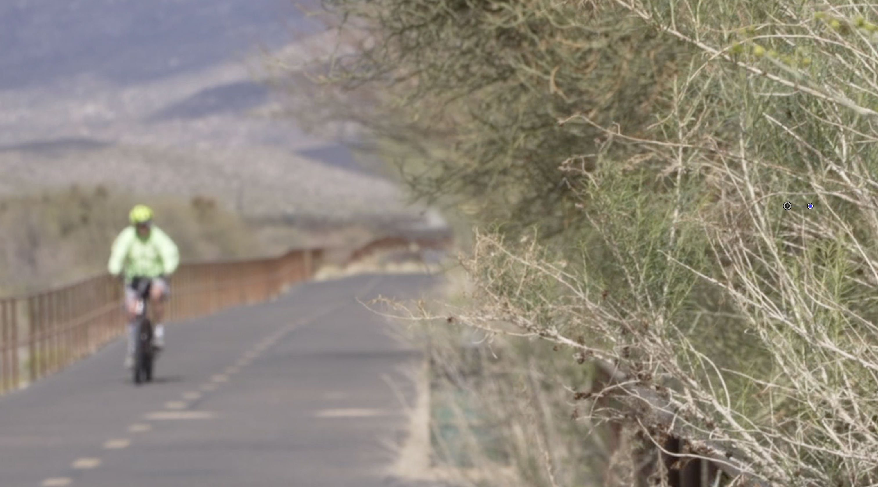 The Loop in Oro Valley