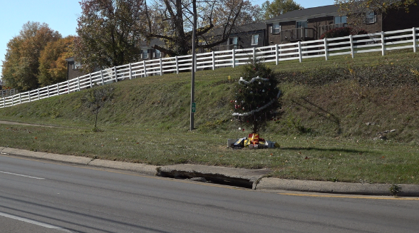 Mystery Christmas tree solved