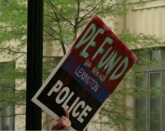 Defund the police sign.PNG
