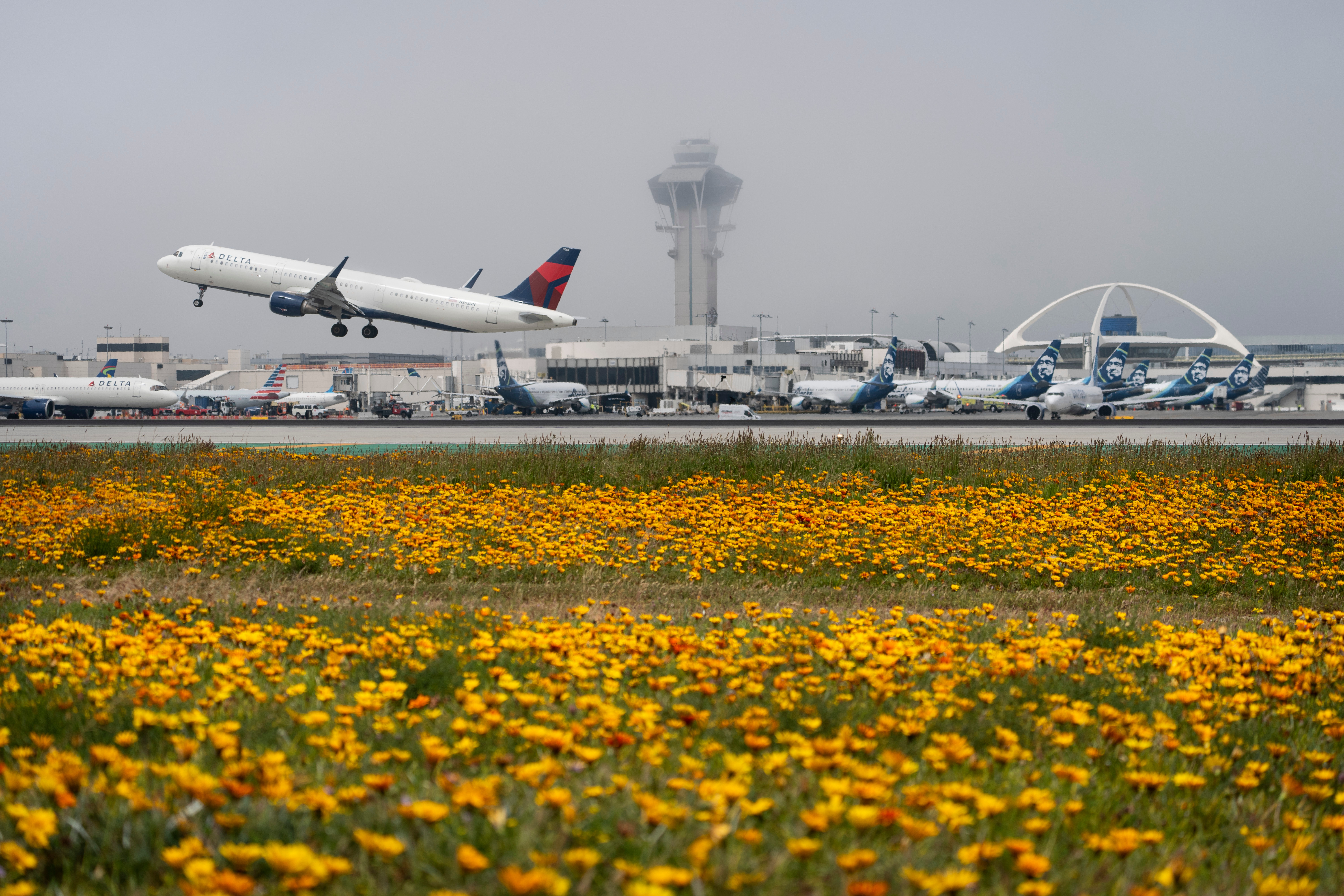 California Airport Money