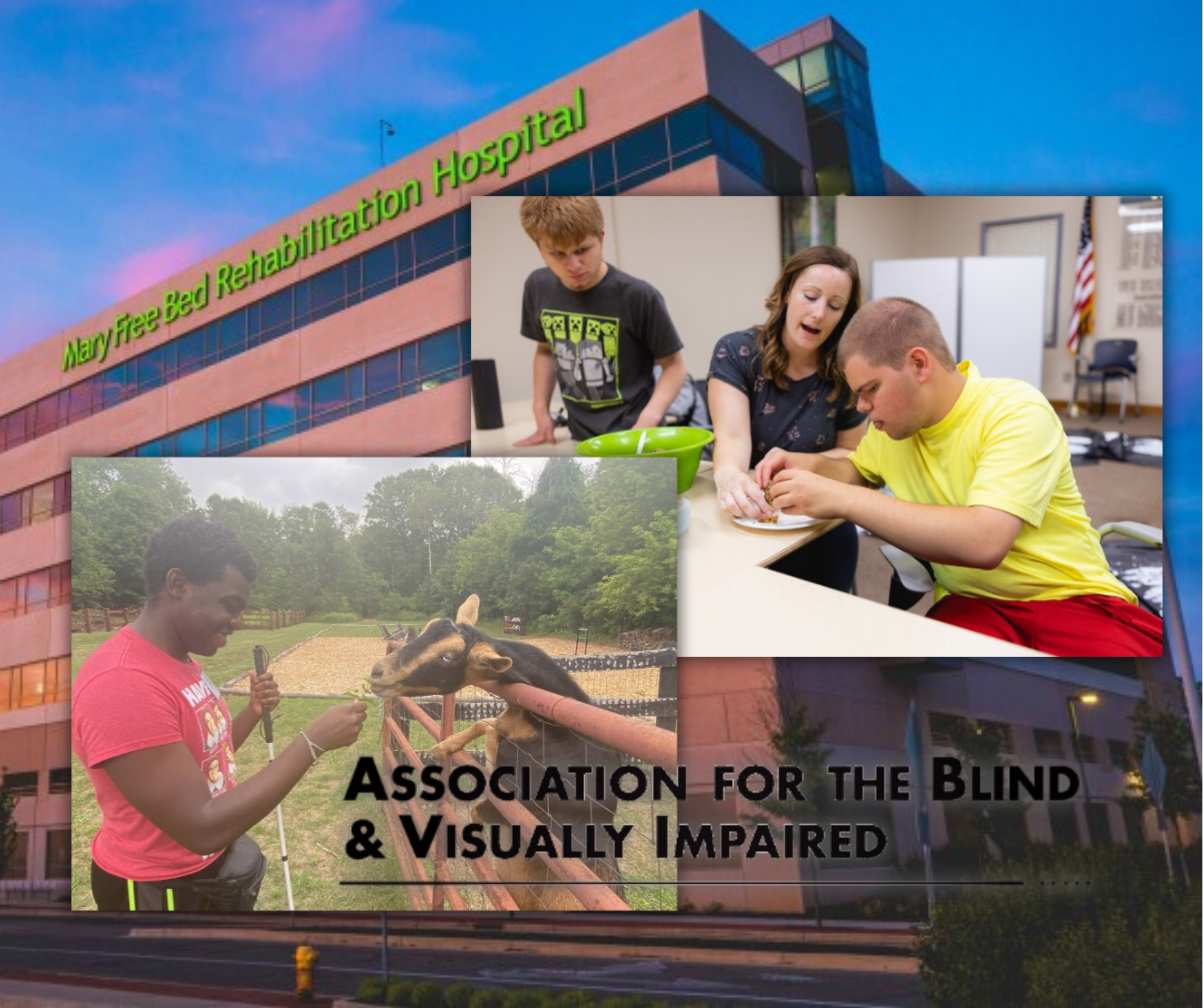 MFB - ABVI -Blind and Visually Impaired - Awareness Month.png