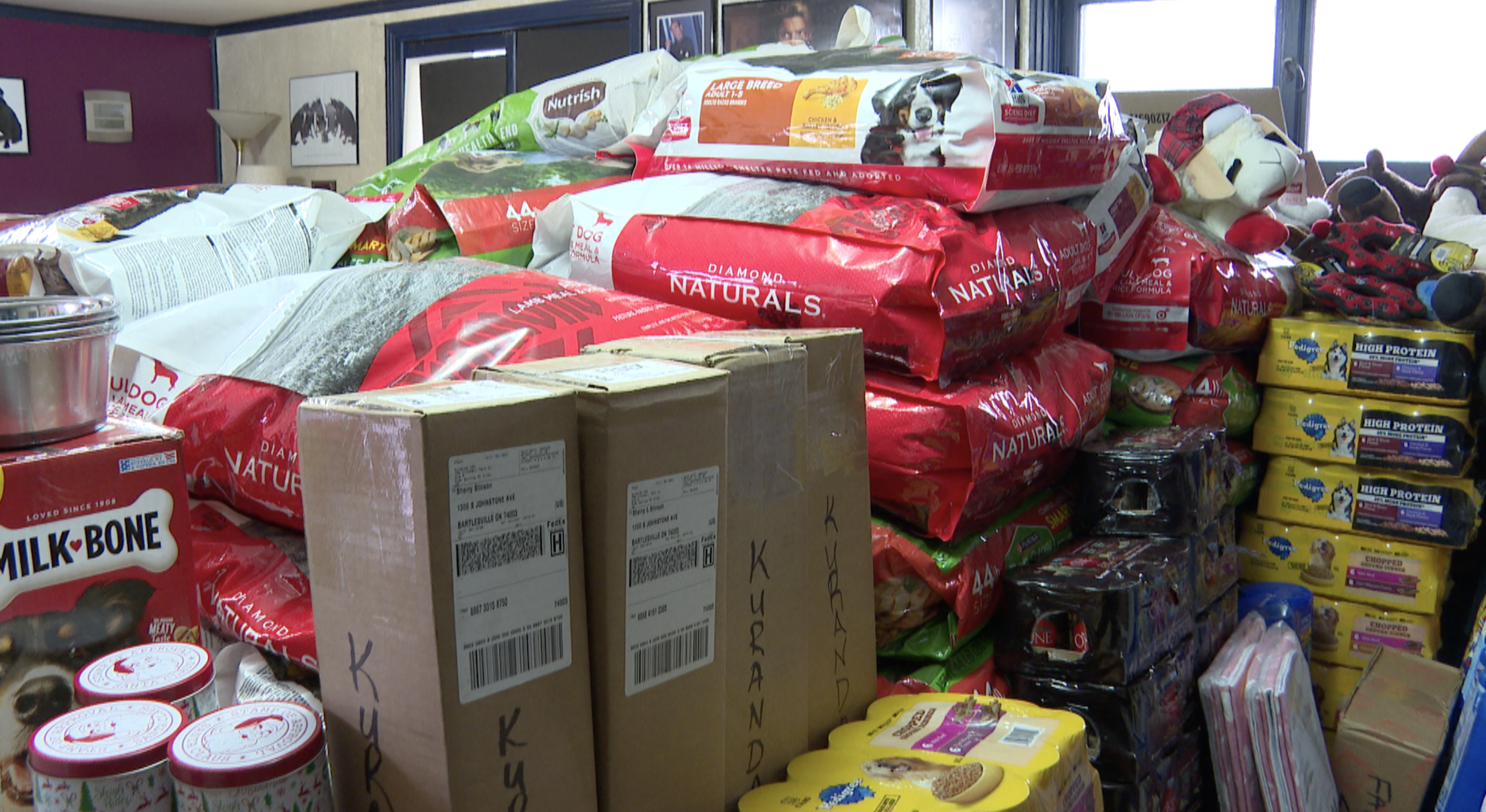 DOG DONATIONS GIVEAWAY