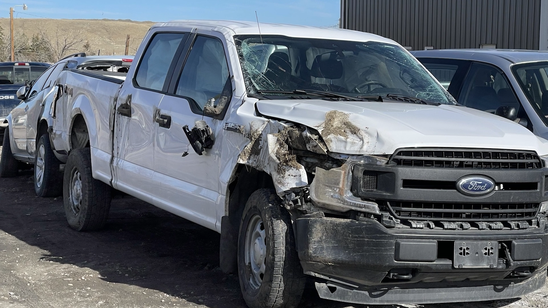 Shelby School staff DUI