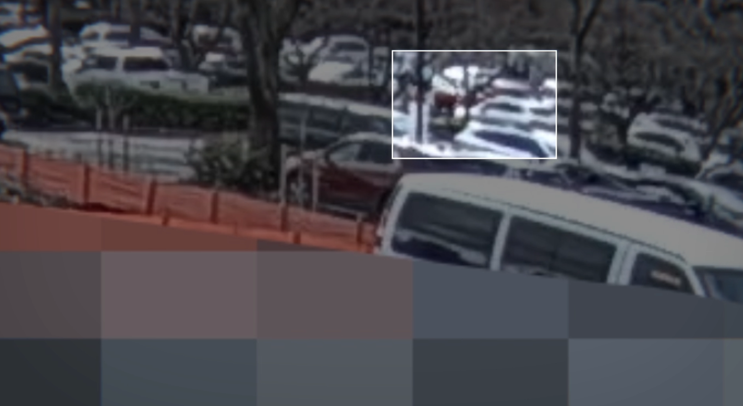 Portland Border Patrol shooting