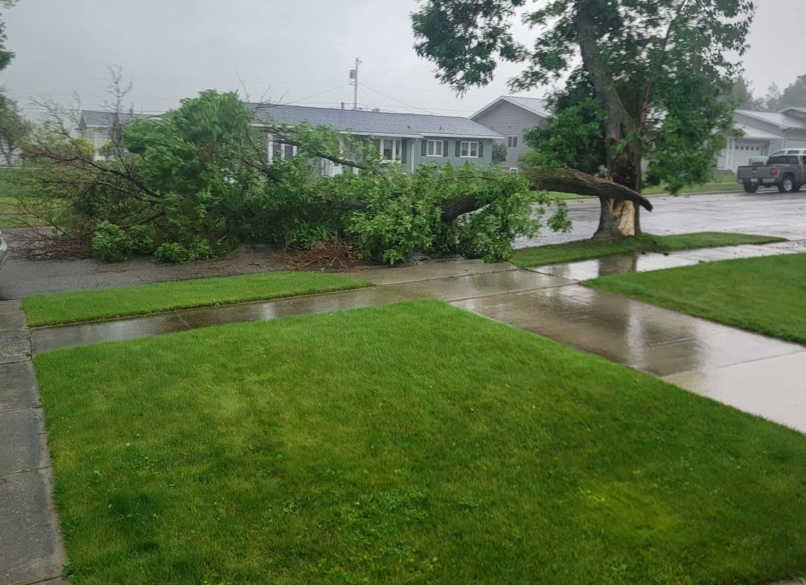 ChrisFeyk_Lewistown_TreeDamage_7-14-26.png