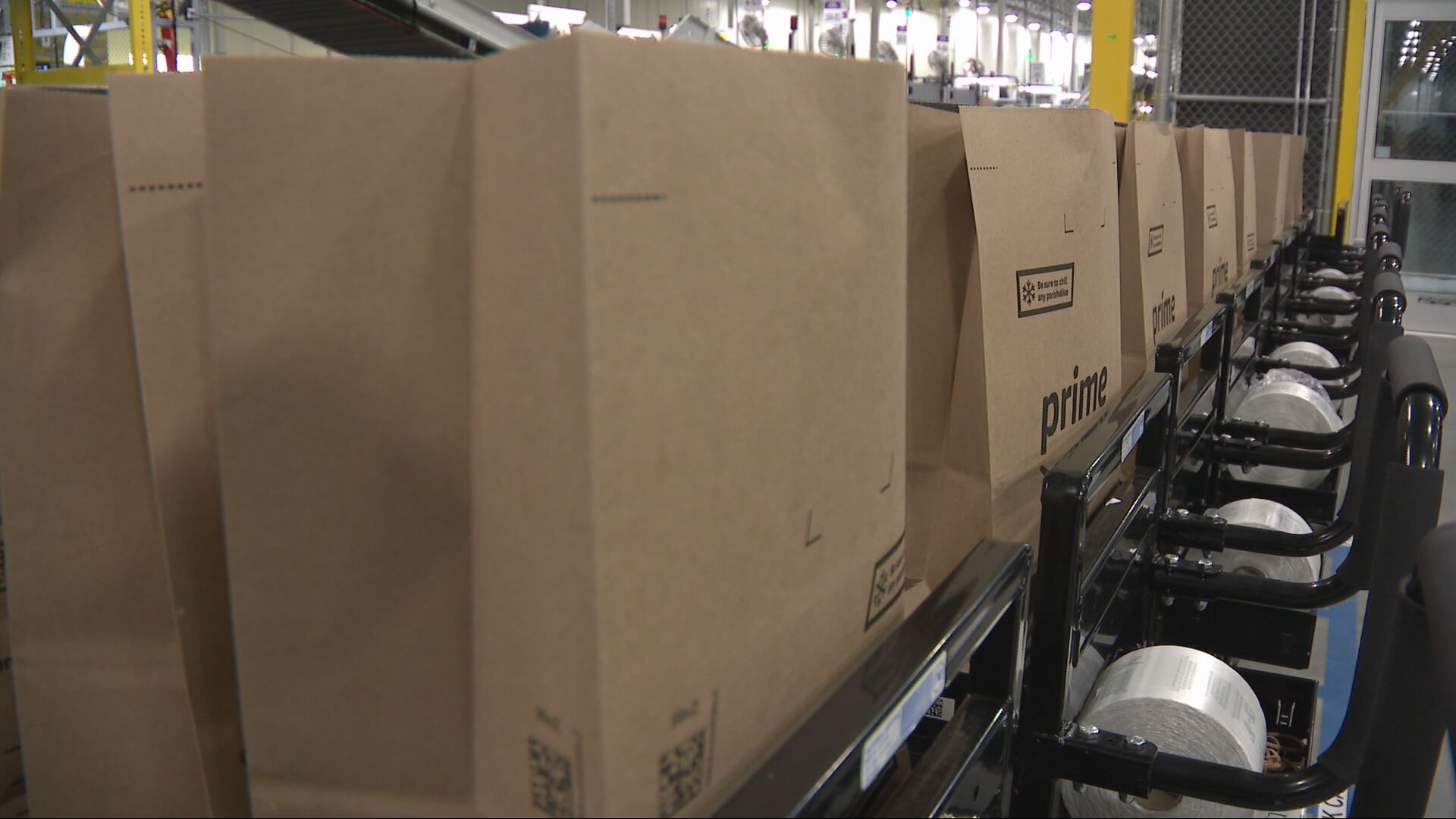 Amazon Grocery Delivery