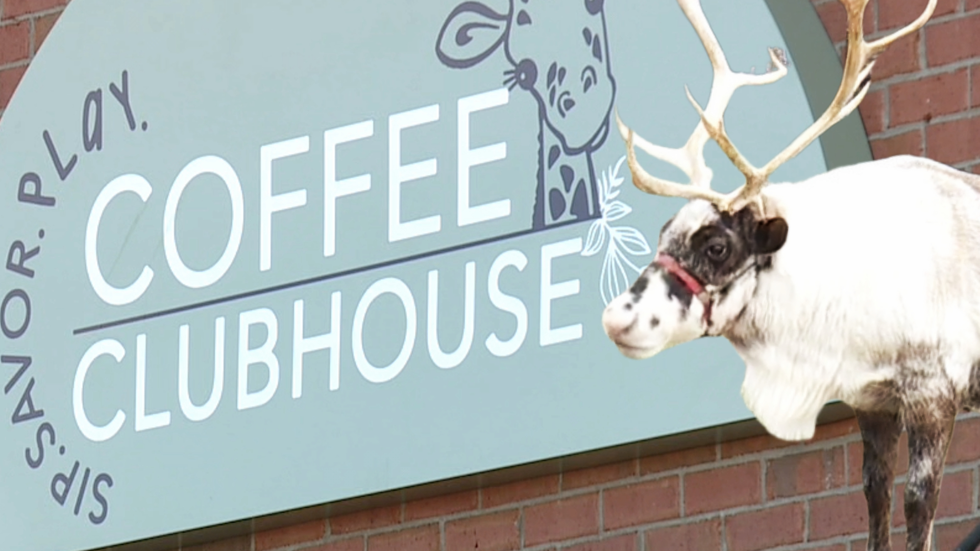 COFFEE CLUBHOUSE