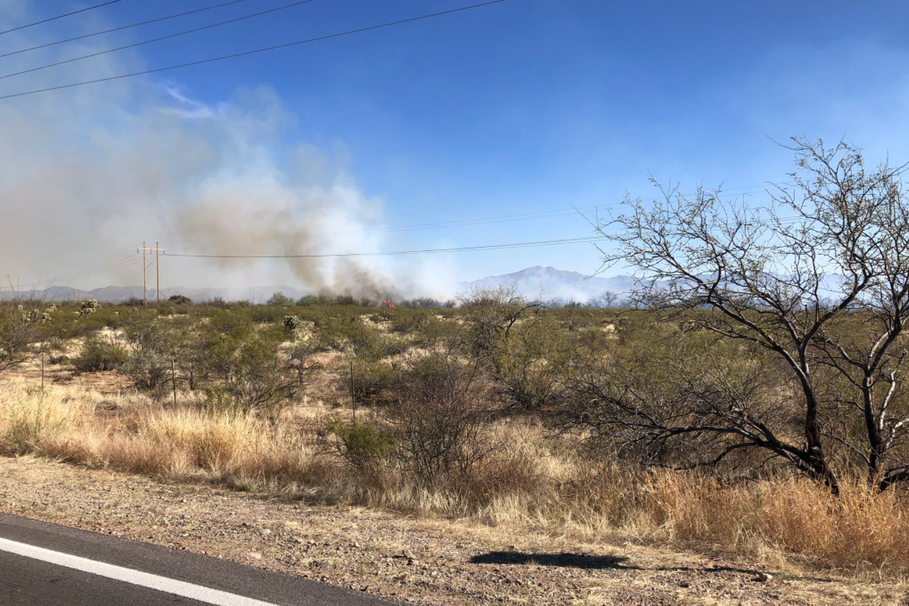 brush fire near harrison and dawn.PNG
