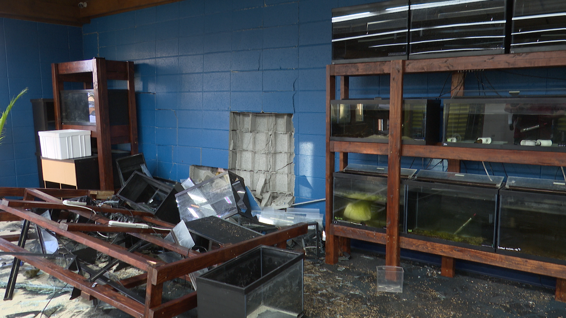 Treasure State Aquariums 