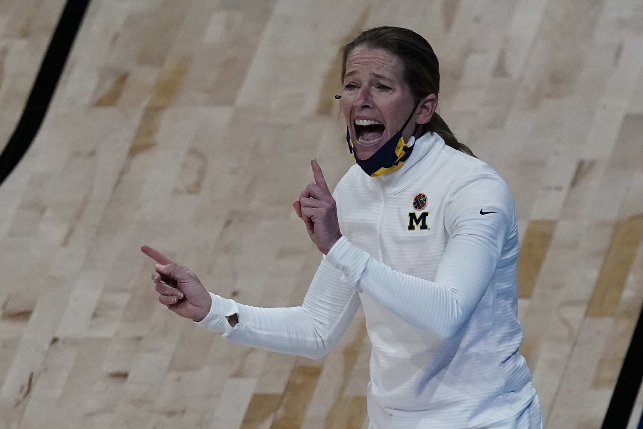 Kim Barnes Arico Michigan Tennessee NCAA Basketball