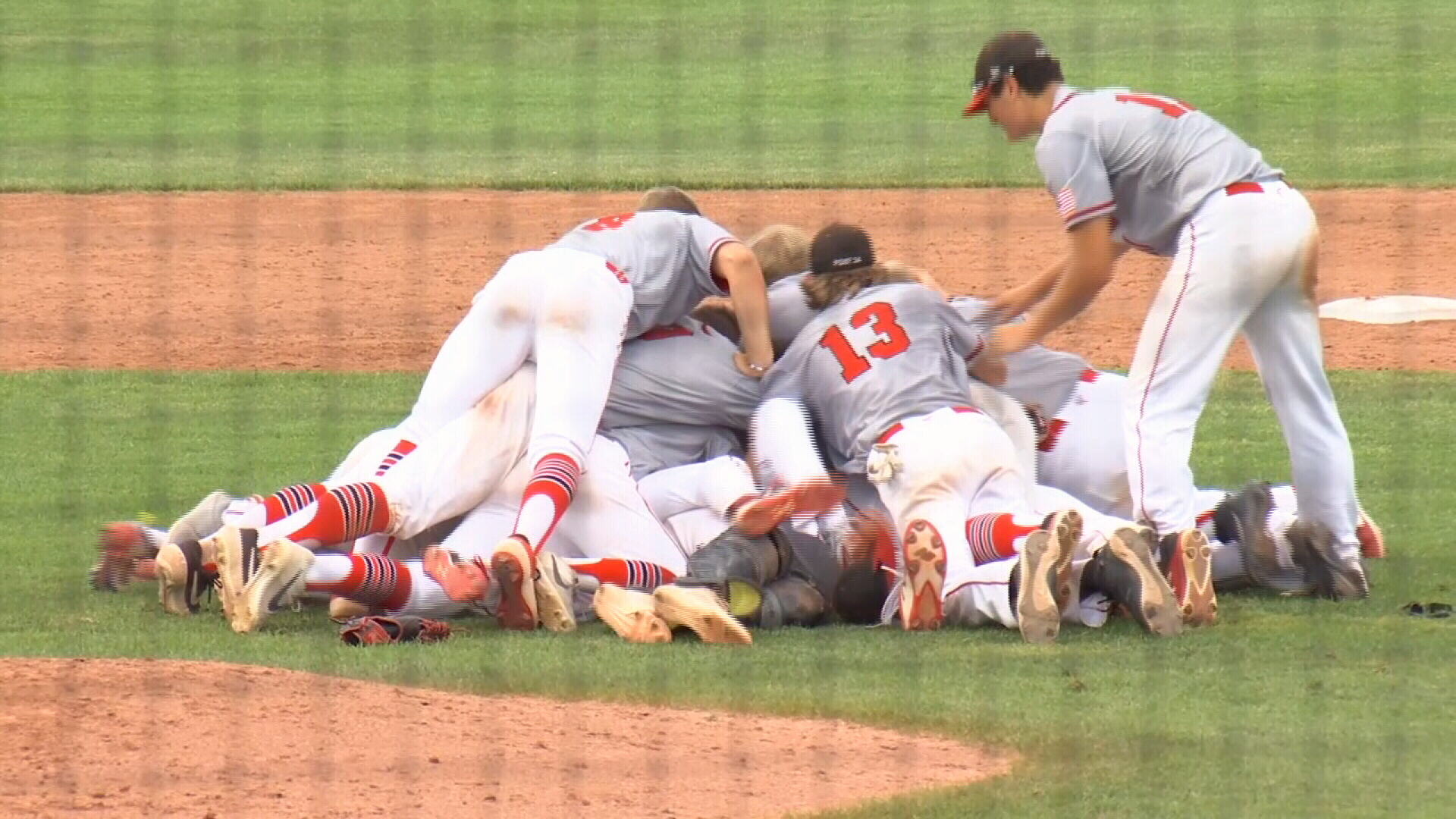Boz Dog Pile.jpg