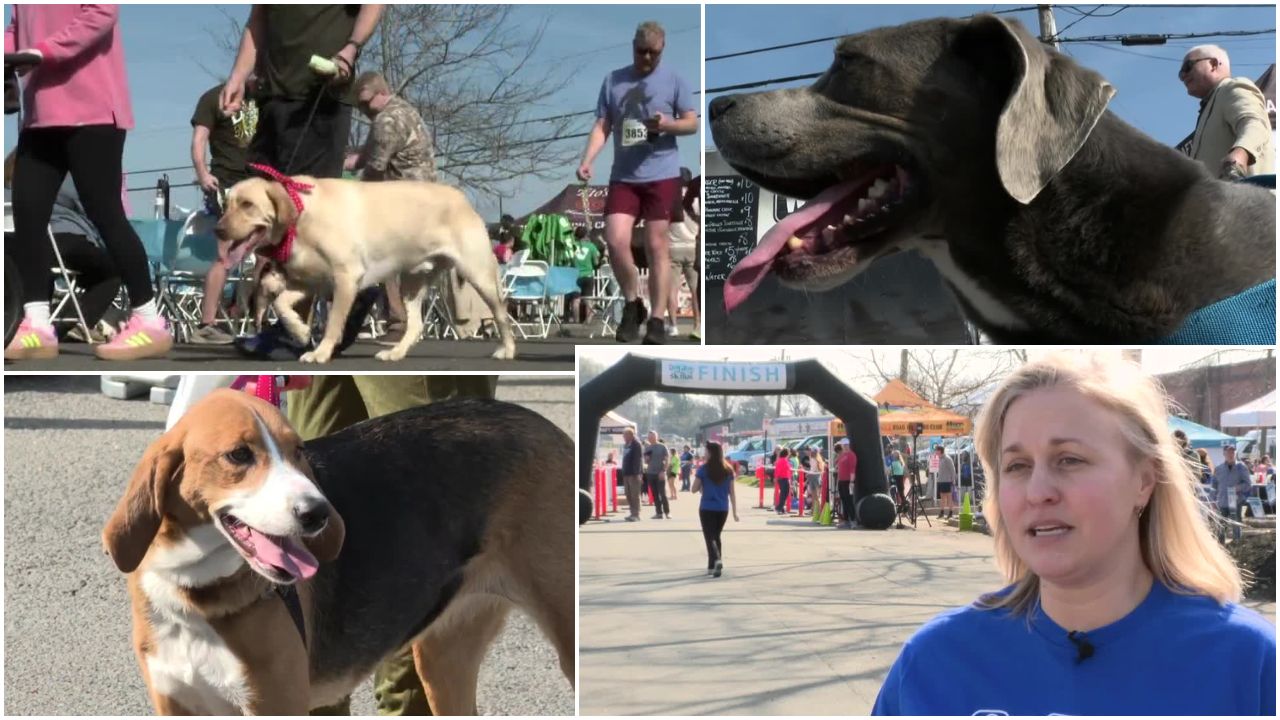 Richmond SPCA Dog Jog 2026