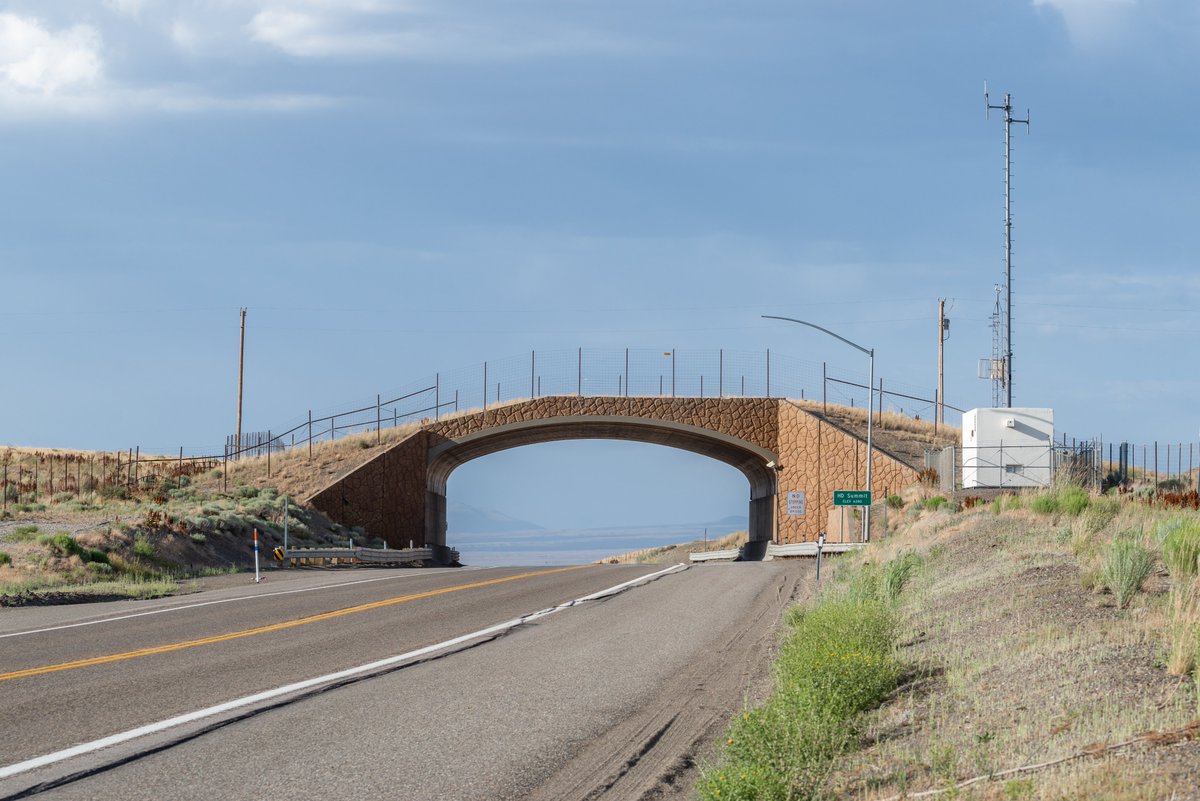 Nevada wildlife crossings