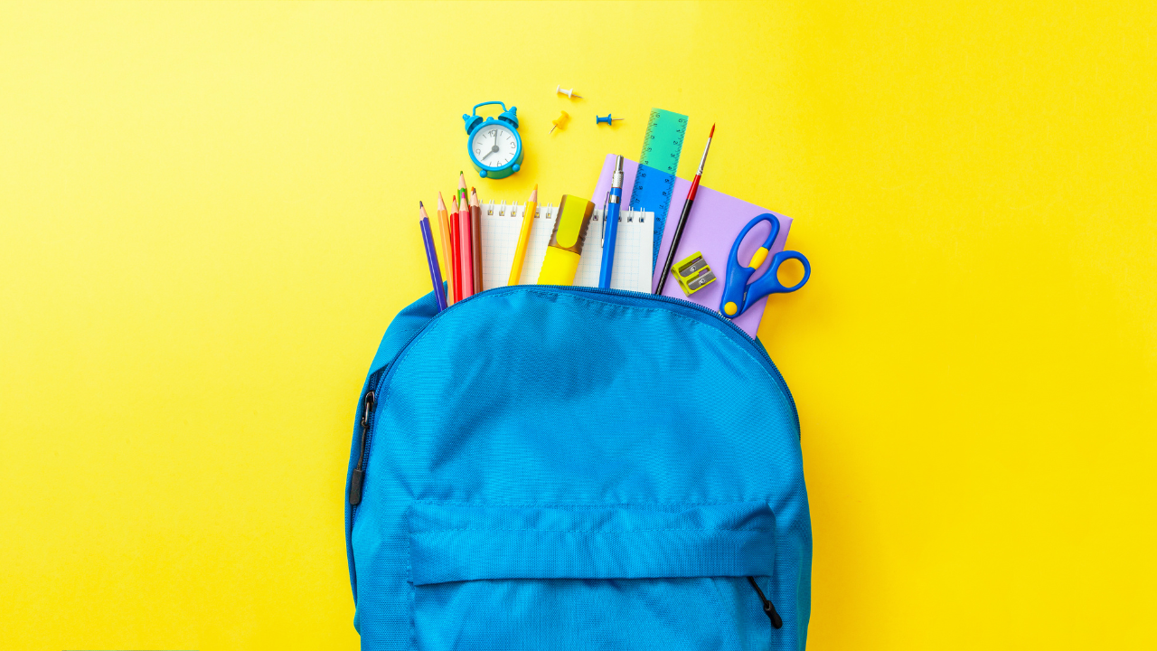School Backpack (FILE)