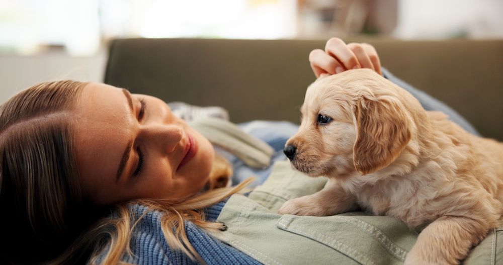 Happy,Woman,,Relax,And,Sofa,With,Dog,For,Animal,Welfare,