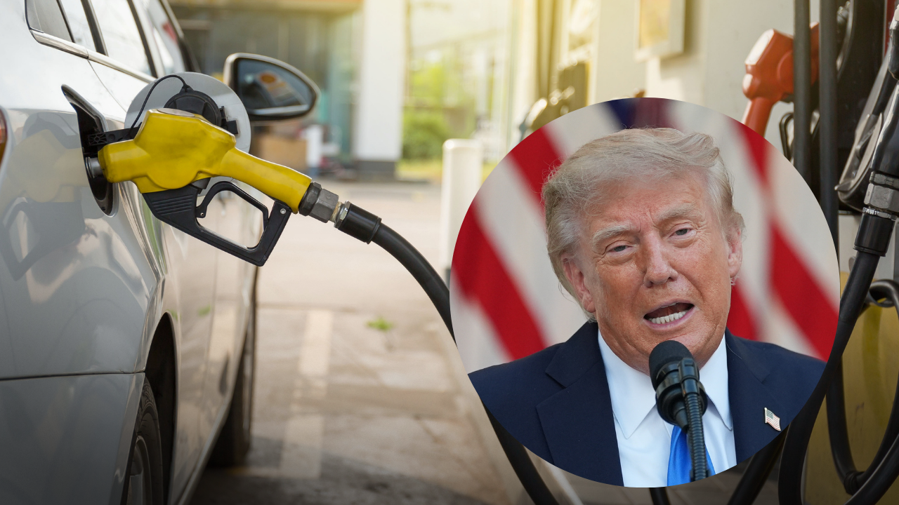 Trump Diesel prices