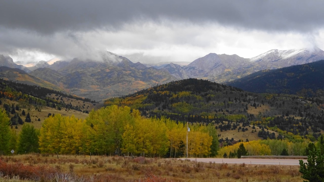 Teller County fall foliage