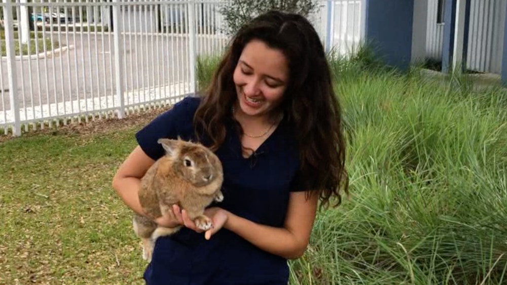Jacobson Technical High School veterinary program