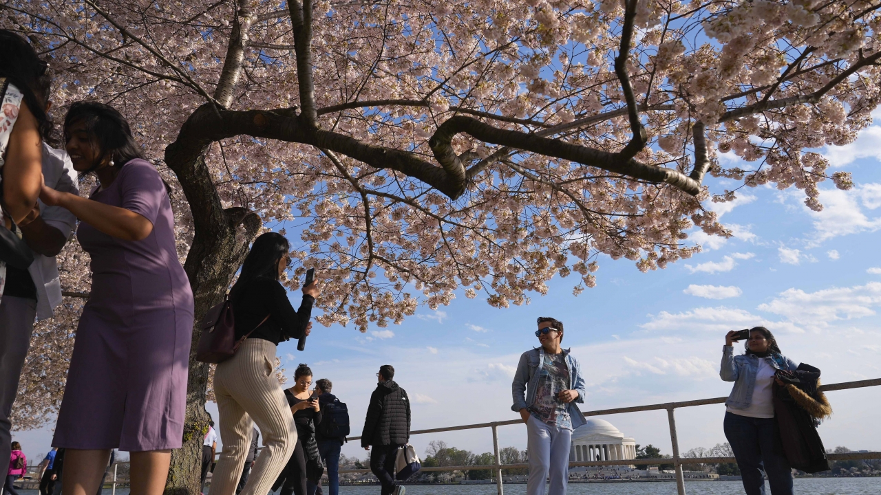 The Jefferson Memorial is visible as visitors to the Tidal Basin walk along an area as cherry trees bloom