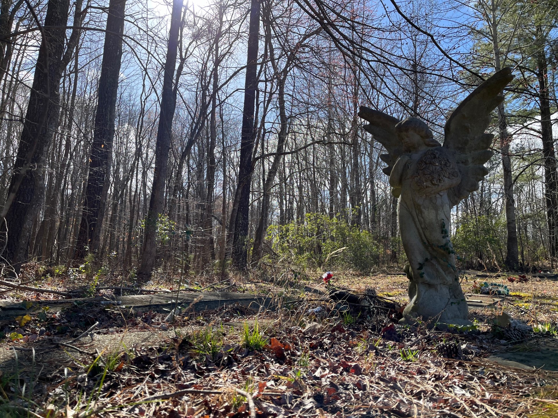 saints rest feb 2024 cemetery.jpg