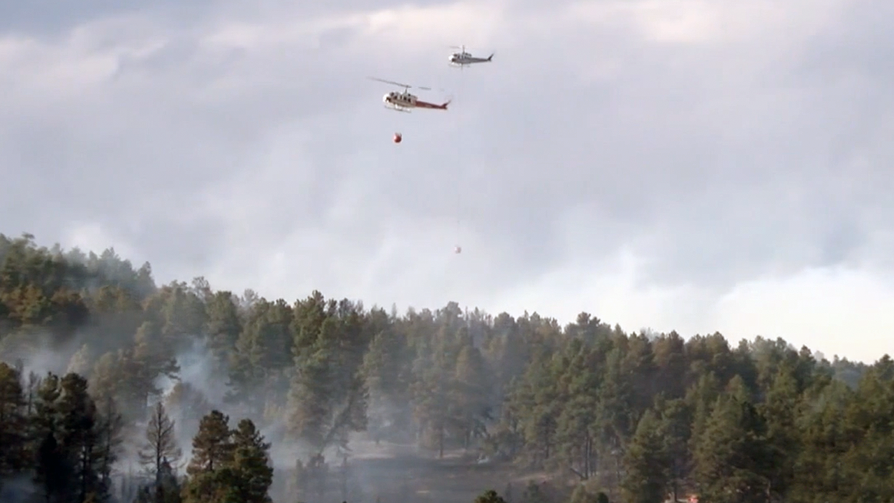 birds eye fire.png