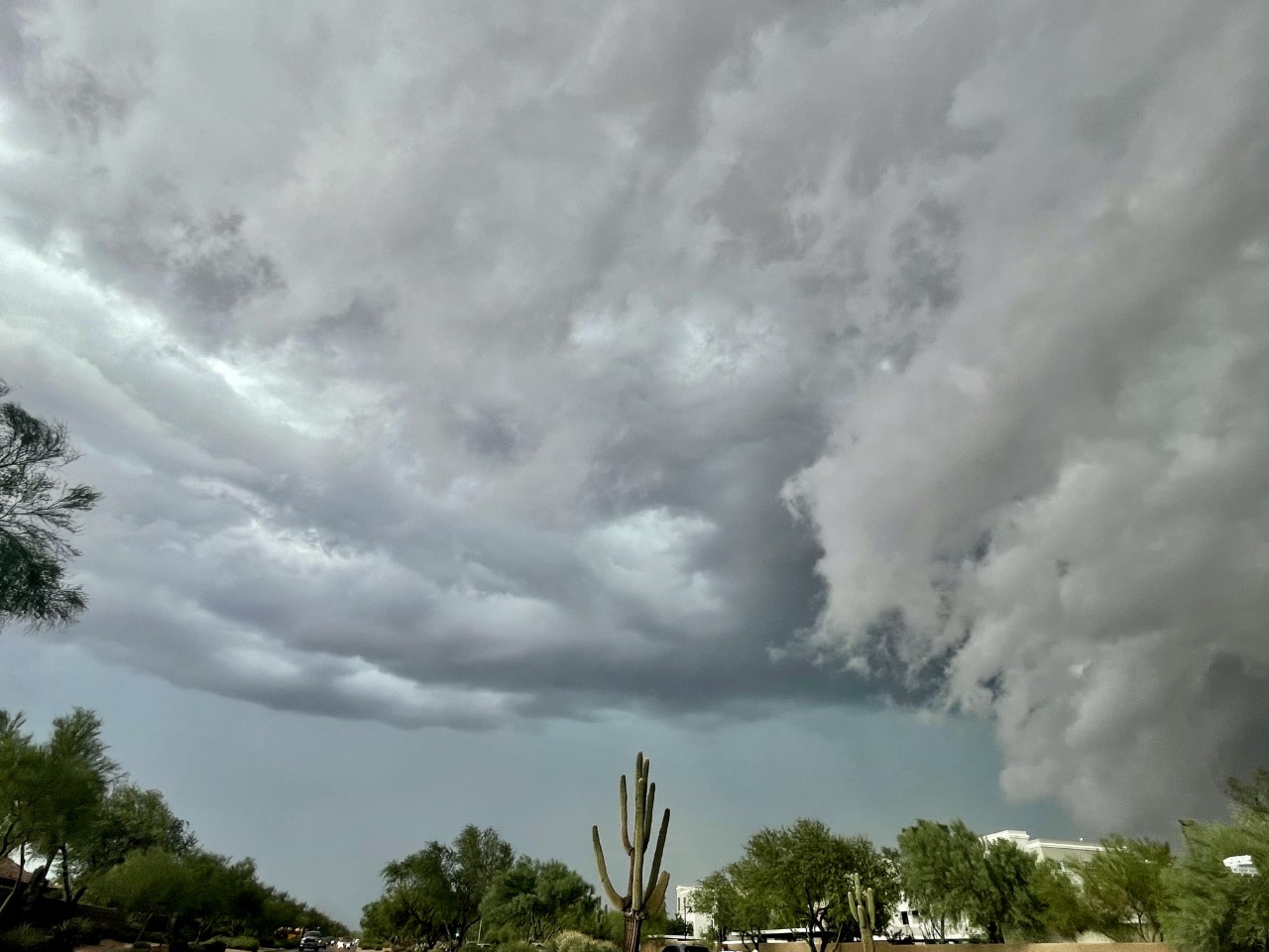 Melanie Rn Desert Ridge.jpeg