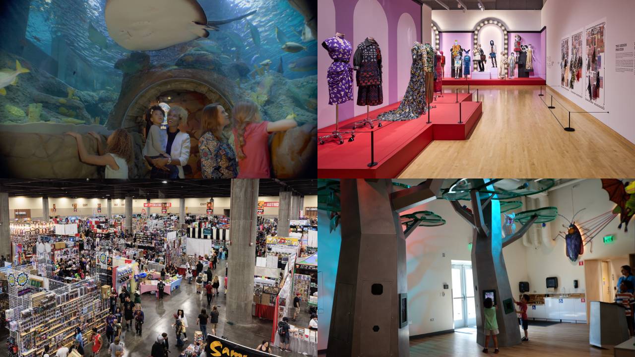 June in the Valley: Phoenix Art Museum’s Family Funday, Idea Lab, LEGO Summer of Play, and more events