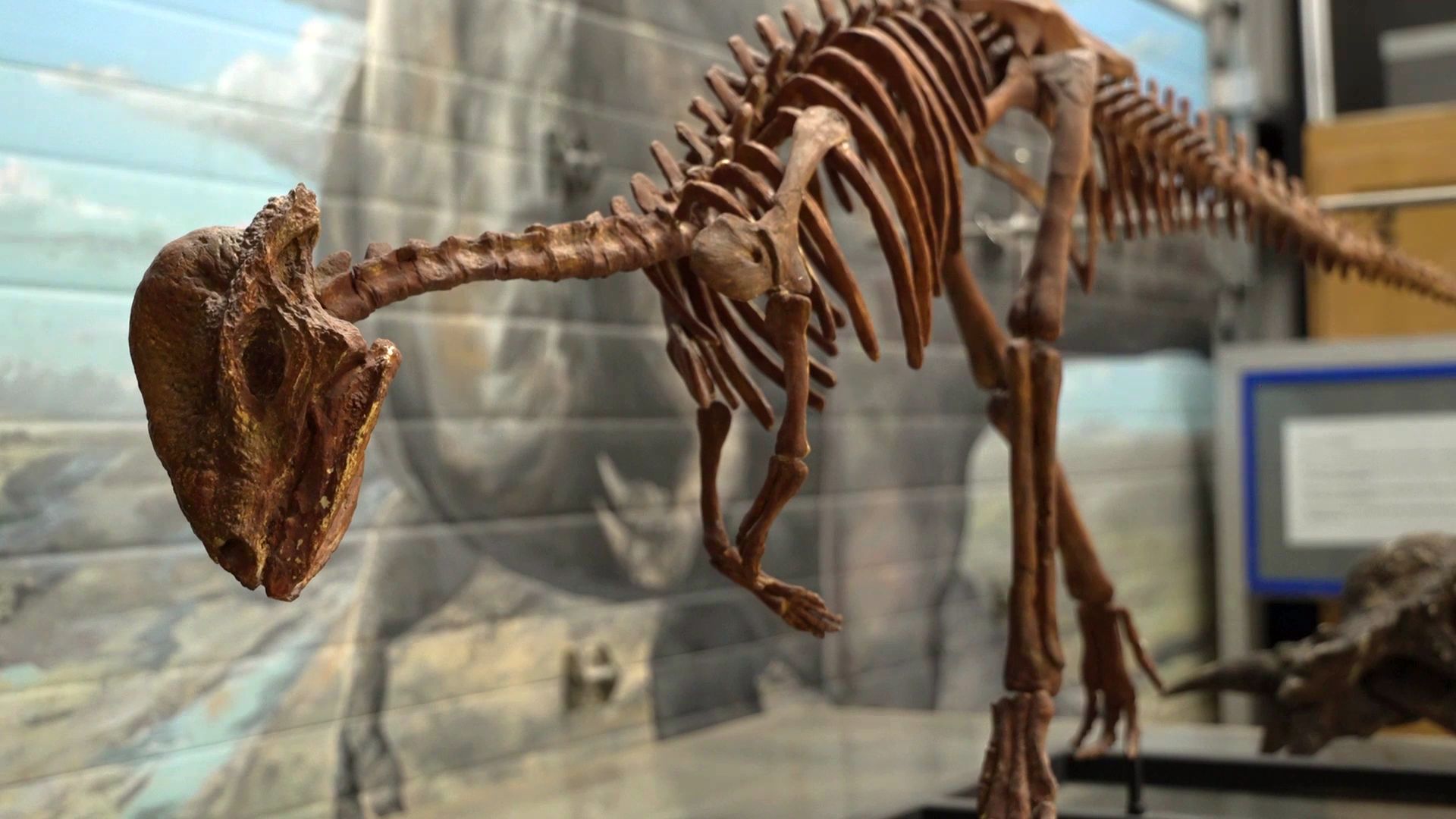 Montana Dinosaur Center