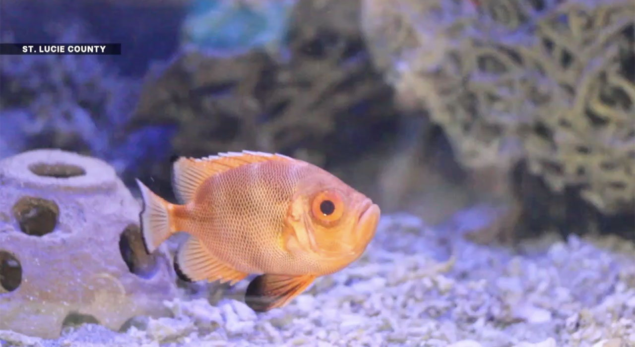 Smithsonian Marine Exhibit 
