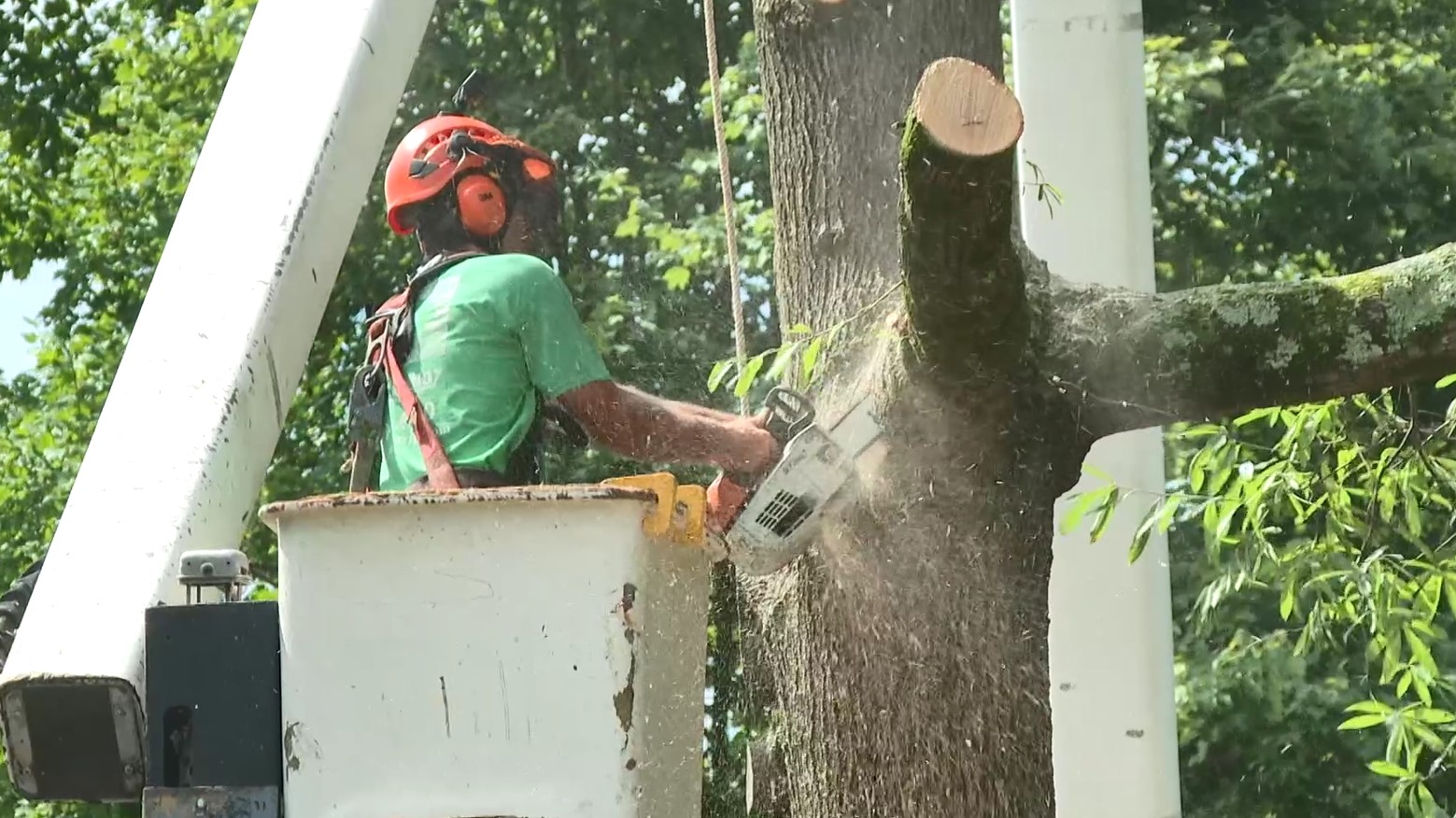 Storm Prep henrico .jpg