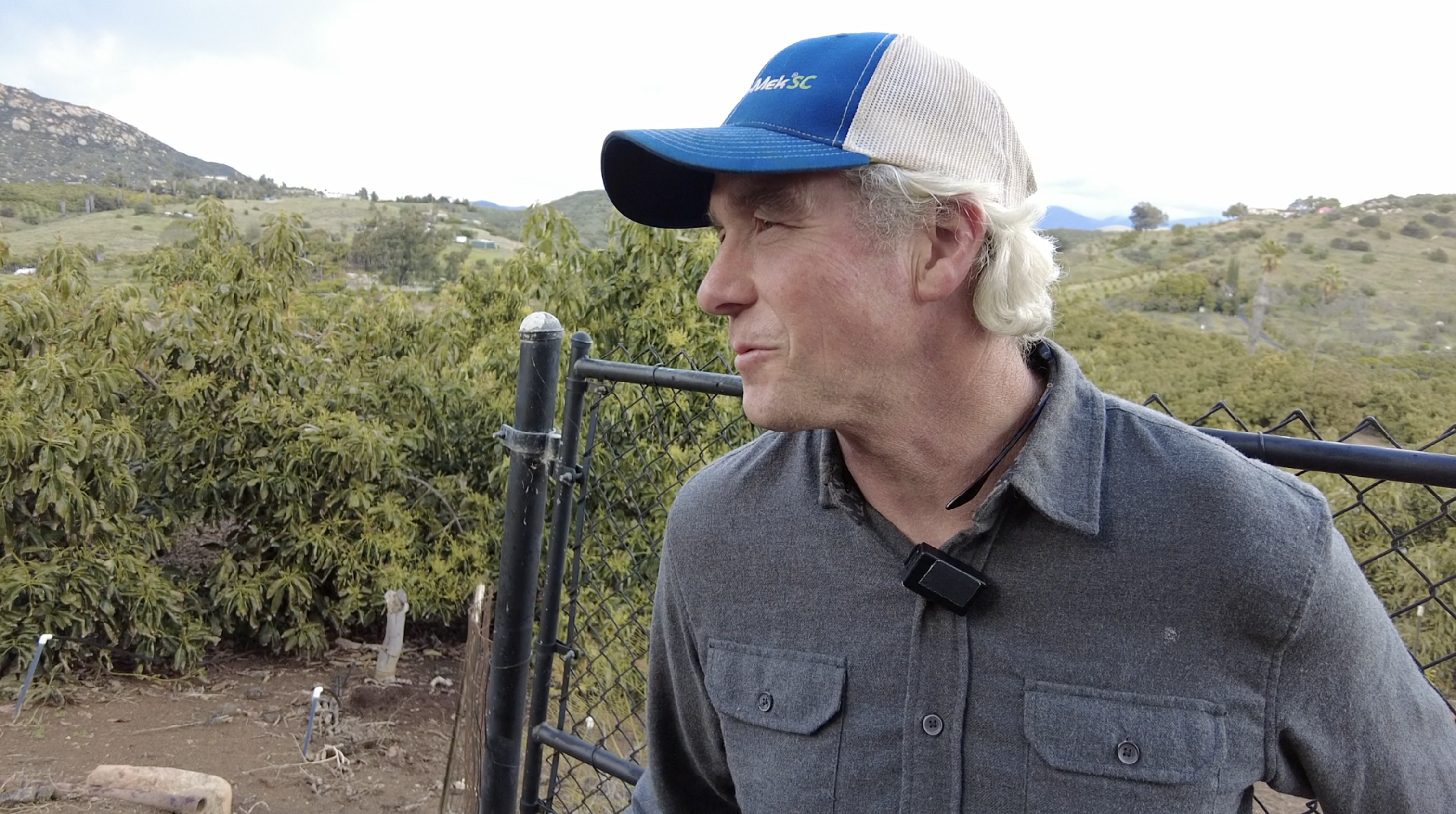 Valley Center avocado farmer nervous over cold springtime weather