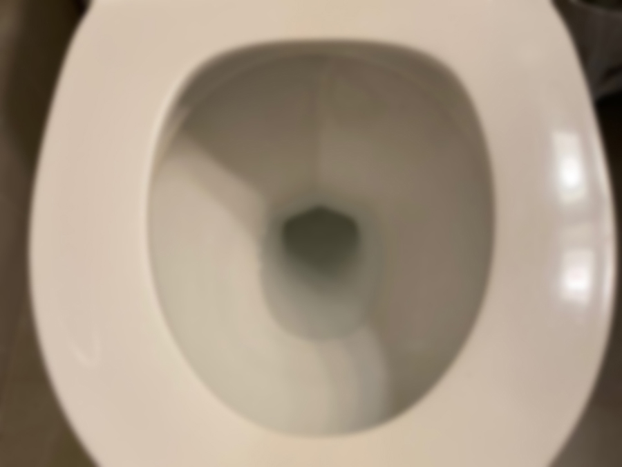 toilet_seat.jpg