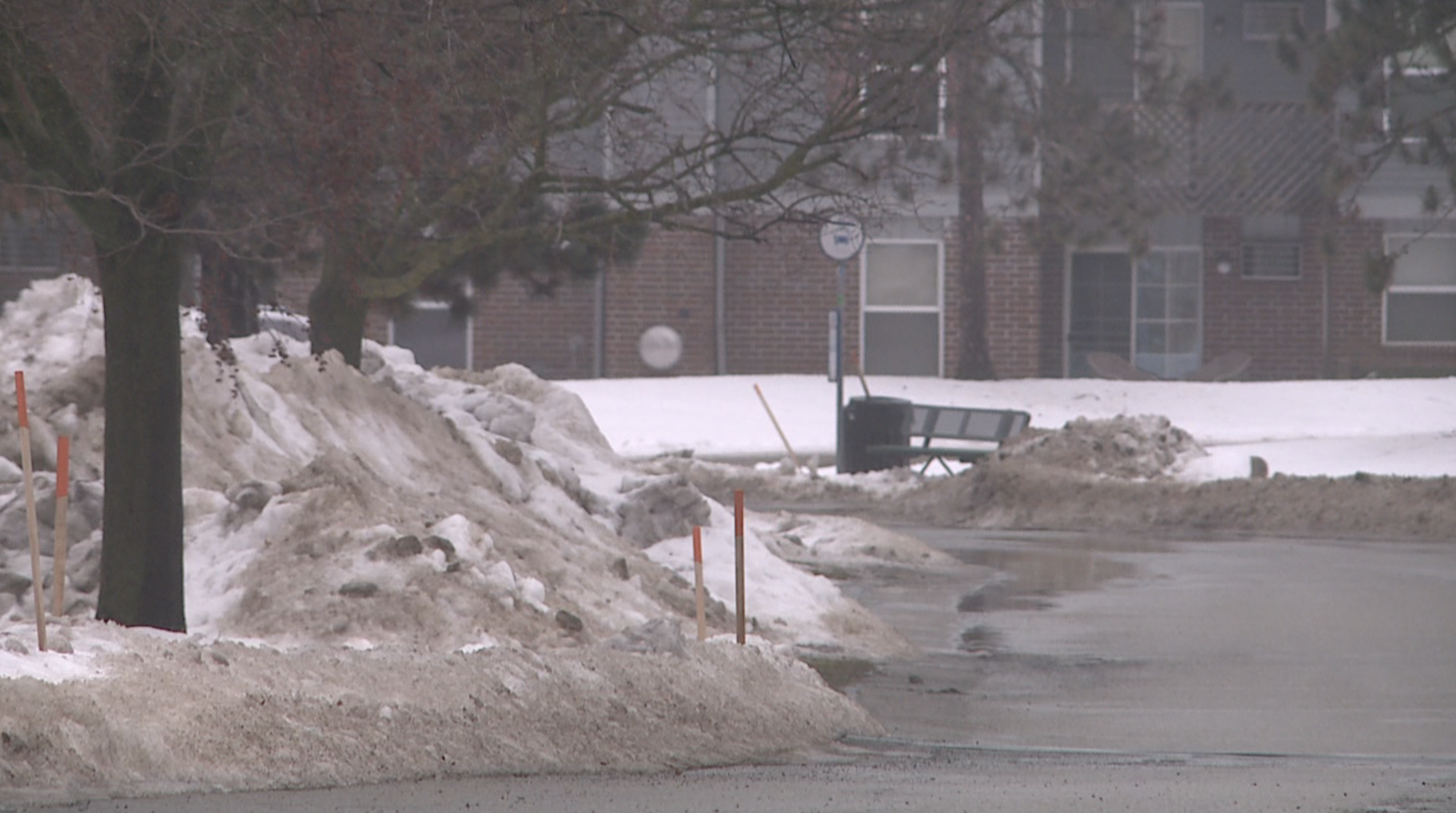 accidental Gaines Township shooting
