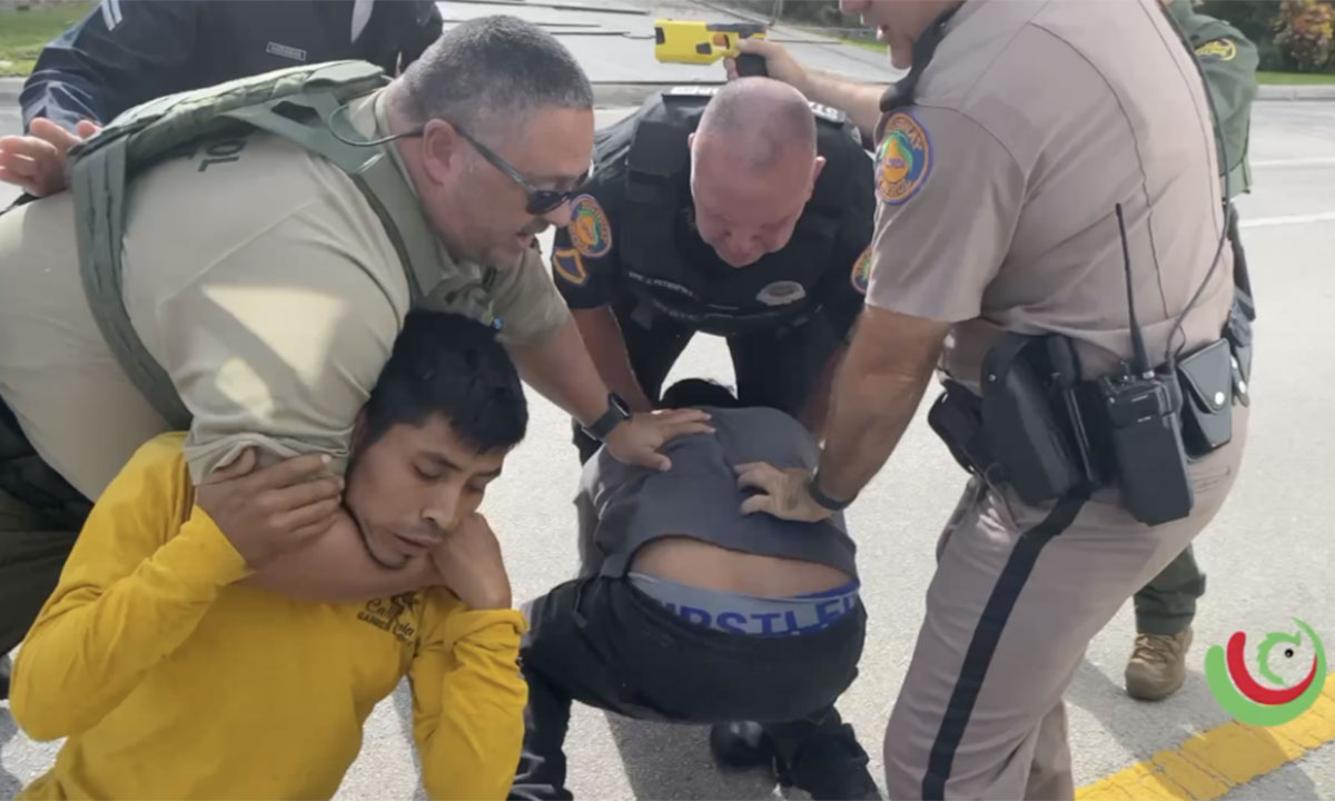 Kenny Laynez arrest 