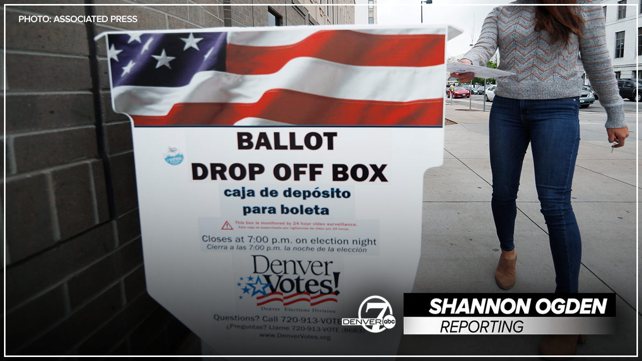 SHANNON BALLOT VOTING THUMBNAIL.jpg