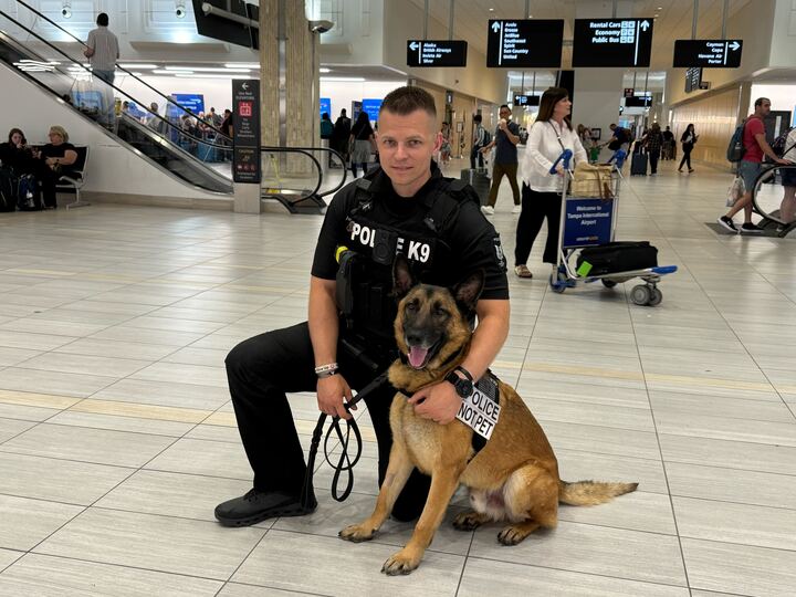 New canine joins the K-9 bomb squad at Tampa International Airport