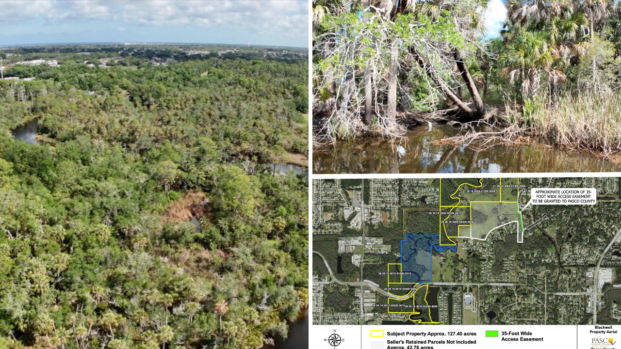 Pasco County expands environmental land preservation with latest ELAMP purchase