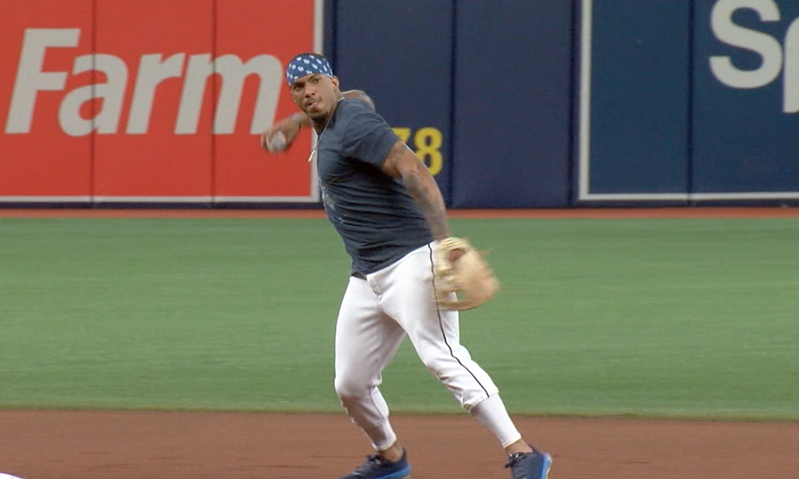 Wander Franco Throw.png