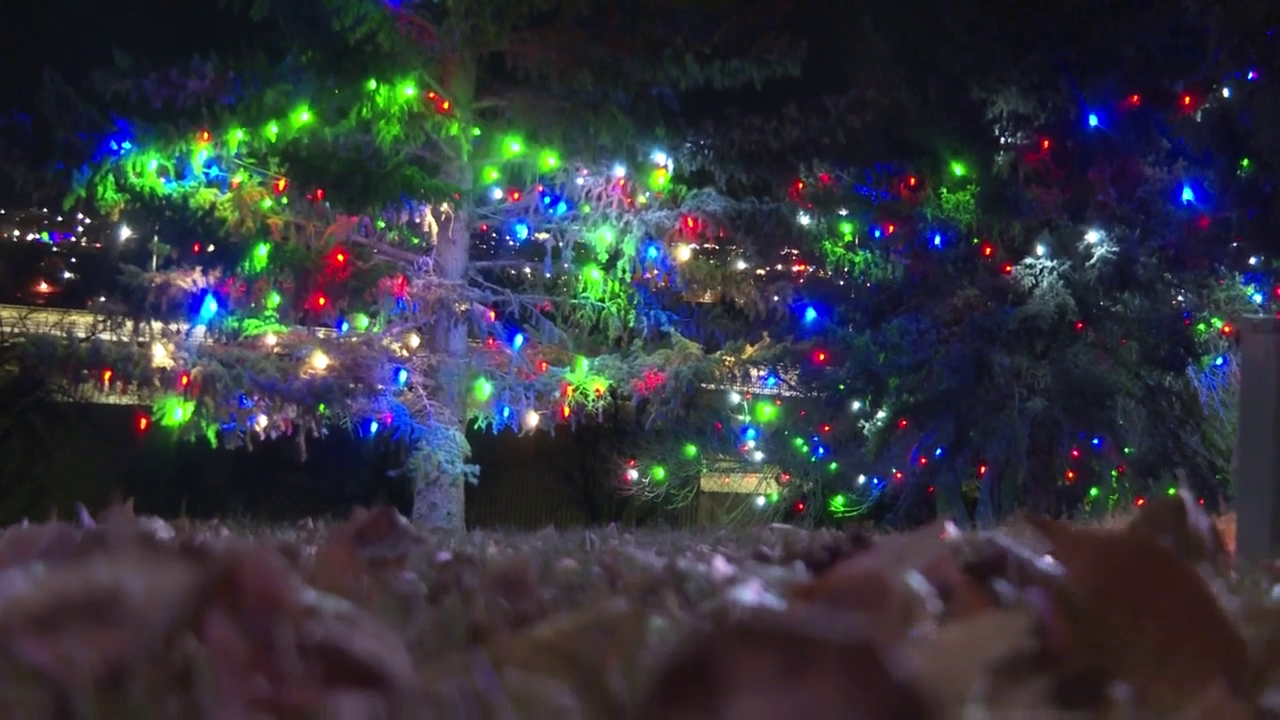 Memorial Christmas Tree Lighting Ceremony 2023
